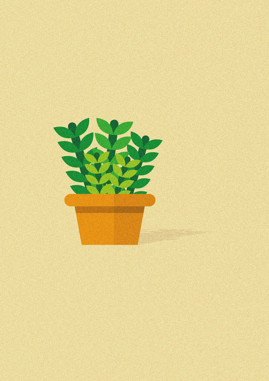 Plante verte